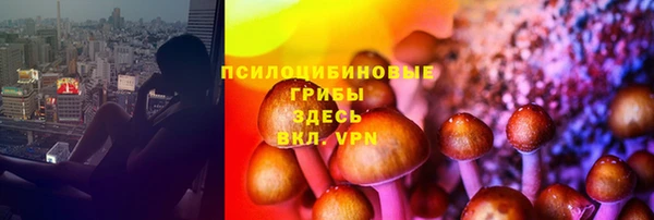 a pvp Михайловка